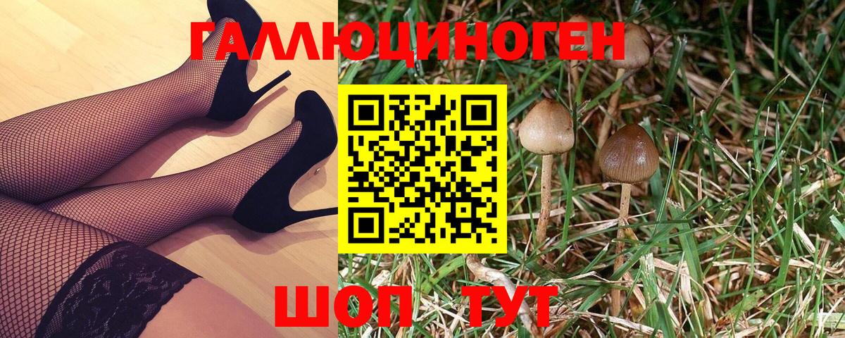 Псилоцибиновые грибы мицелий Котовск